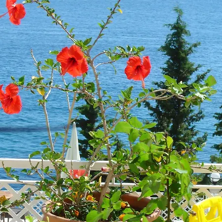 Medusa Kaş