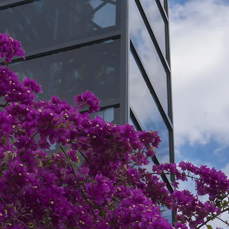 Medusa Hotel