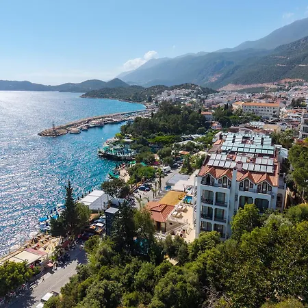 Hotel Medusa 3*