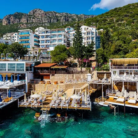 Hotel Medusa
