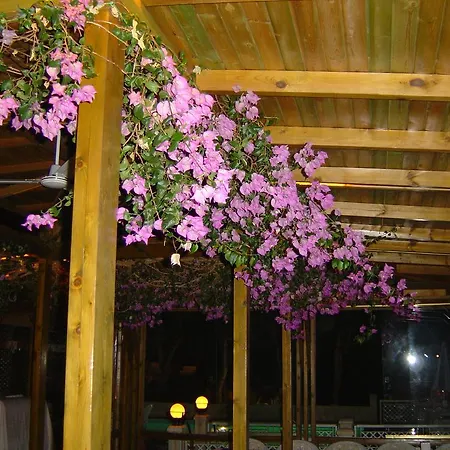 Medusa 3* Kaş